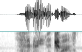 Image: Professor Goldberg's lab examines the cognitive mechanisms and representations that underlie word processing.