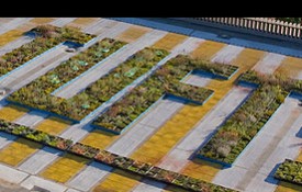 Image: The Tufts Environmental Studies Program is hiring new faculty in the fields of anthropology of the environment, environmental economics, environmental ethics, and environmental geology.